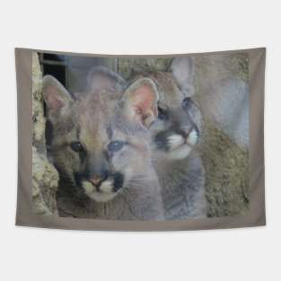 Mountain Lion cubs Tapestry
