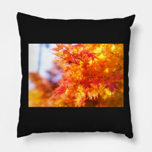 Unique nature photography Autumn Maple leaves in Japan Pillow