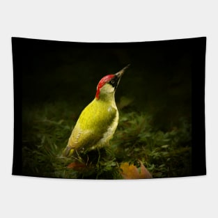 Green woodpecker Tapestry