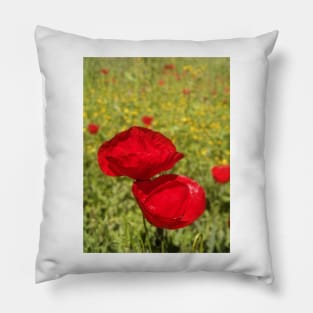 Greek Wildflowers poppy and calendula meadow Pillow