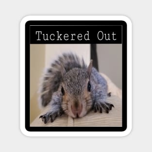 Tuckered Out Squirrel Magnet