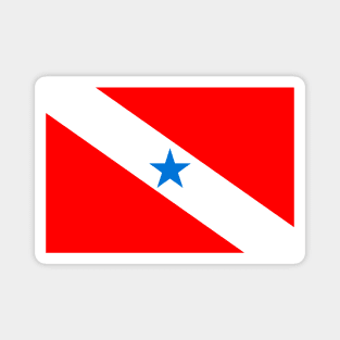 Flag of Para Magnet