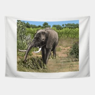 Zimbabwe in the bush Tapestry