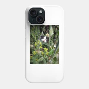 The tomcat Robby in the flowerbed Phone Case