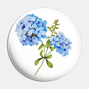 Watercolor botanical vintage Floral minimalist print- hydrangea Pin
