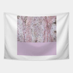 Pastel amethyst on marble Tapestry