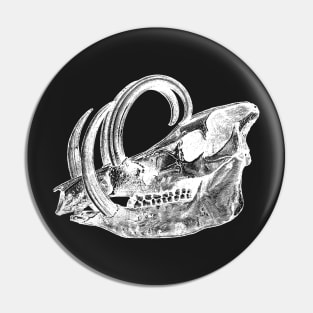 Babirusa Skull Pin