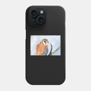 Tiny Falcon Phone Case