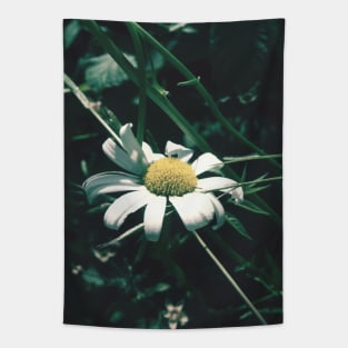 Daisy Tapestry