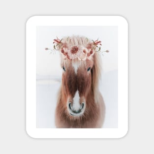 Icelandic Horse Portrait with Flowers Magnet