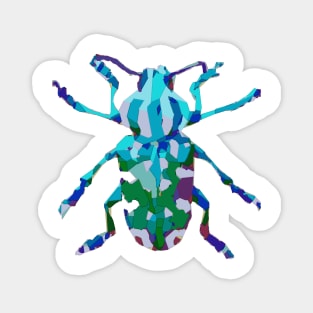 Colored Tropical beetle Magnet