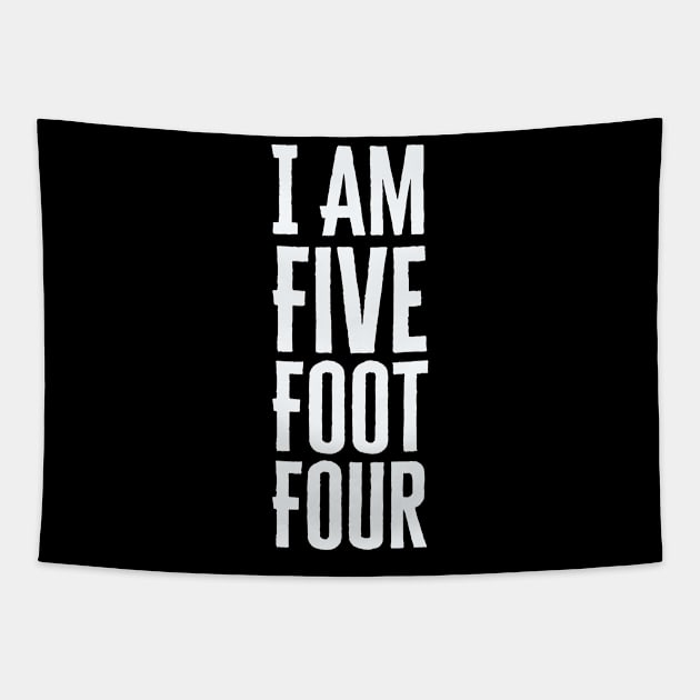 I Am Five Foot Four Tapestry by HobbyAndArt