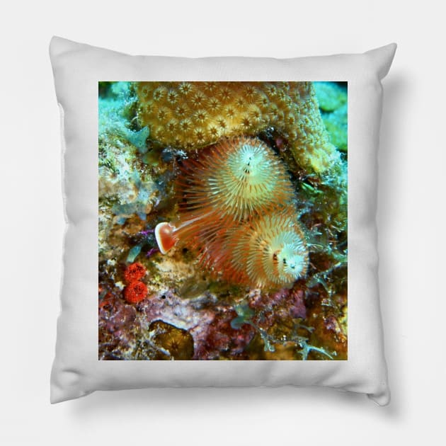 Christmas Tree Worm Pillow by Scubagirlamy