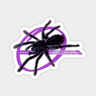 Purple Earth Tiger Tarantula Magnet