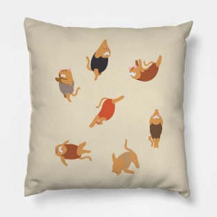 Persian Cat Swimmer Pillow