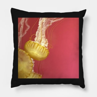 Jelly #4 Pillow