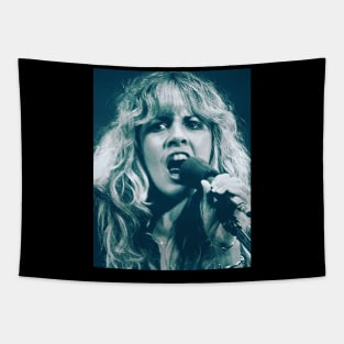 Stevie Nicks Tapestry