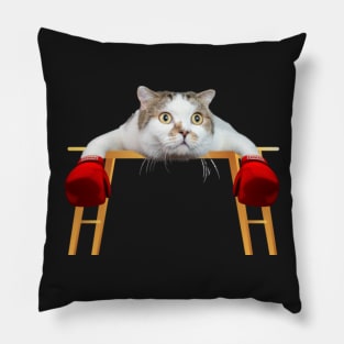 funny boxer Cat, Cat tired after boxing match, funny memes Pillow