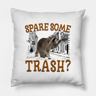 Spare Some Trash Pillow