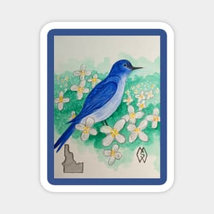 Idaho state bird and flower, the mountain bluebird and syringa Magnet