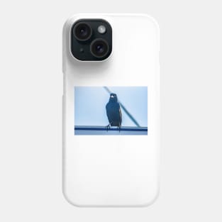 Bird in Calabash Phone Case