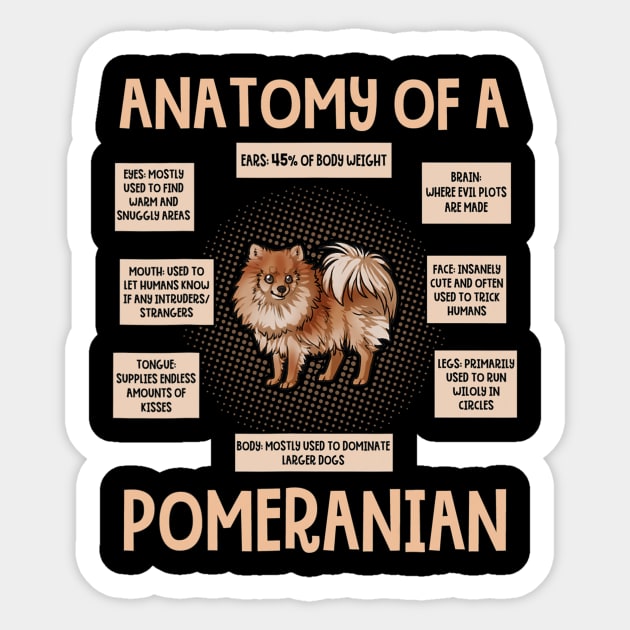 Anatomy Of A Pomeranian - Anatomy Of A Pomeranian - Sticker ...