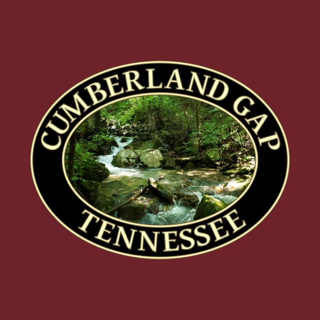 Mountain Stream in Cumberland Gap, Tennessee by GentleSeas