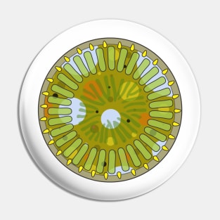 Diatom - Cyclotella meneghiniana (artwork) Pin