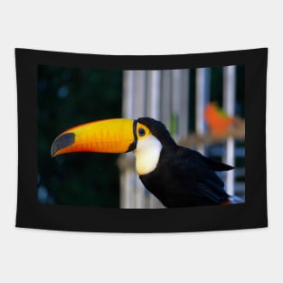 yellow hornbill Tapestry