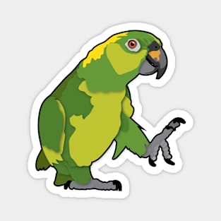 Bomber Yellow Nape Amazon Parrot Magnet