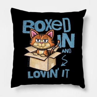 Cute Cartoon Cat Sitting In Box Pillow