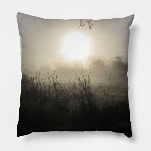 Morning Myth Pillow by Dan Teo