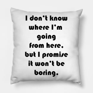 I promise it won't be boring Pillow