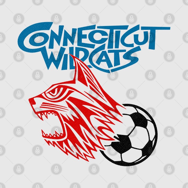 Defunct Connecticut Wildcats ASL Soccer 1973 by LocalZonly