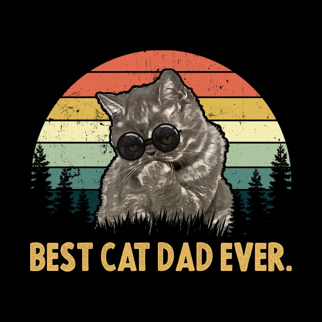 Best Cat Dad Ever Funny Cat by monsieurfour