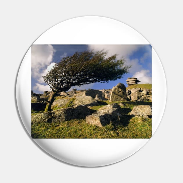Windswept Tree on Stowes Hill Pin by galpinimages