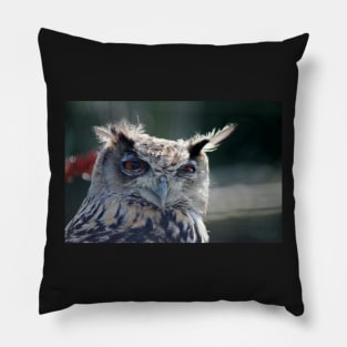 Eagle Owl Pillow