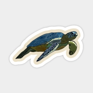 Sea turtle cartoon illustration Magnet