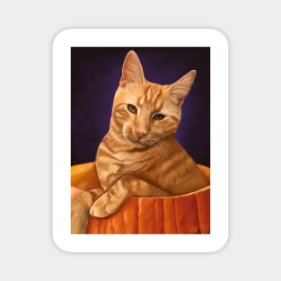 Halloween cat Magnet