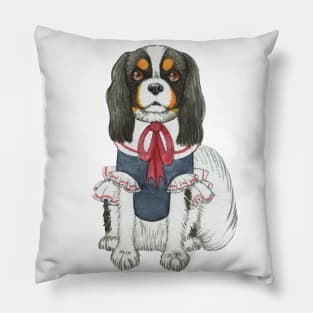 Cavalier King Charles Spaniel - Tri wearing a Blouse Pillow