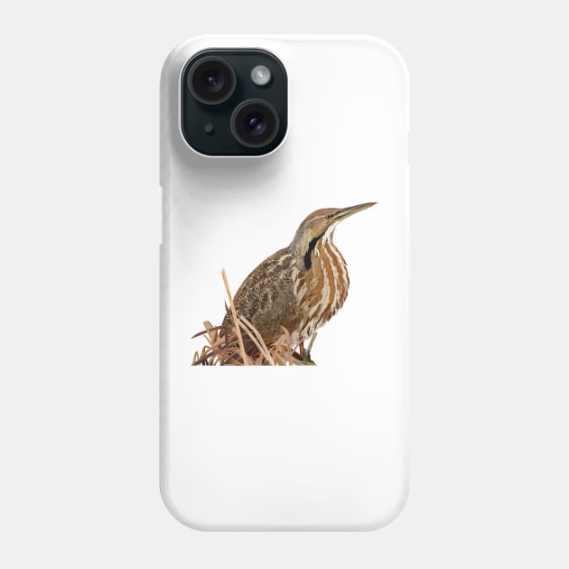 Lentiginous Bittern Phone Case by obscurite