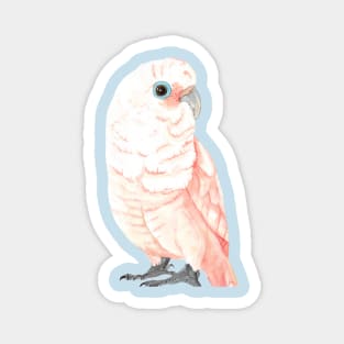 Goffin's cockatoo watercolor Magnet