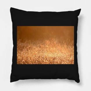 Golden grass field in the summer mountain photography Pillow