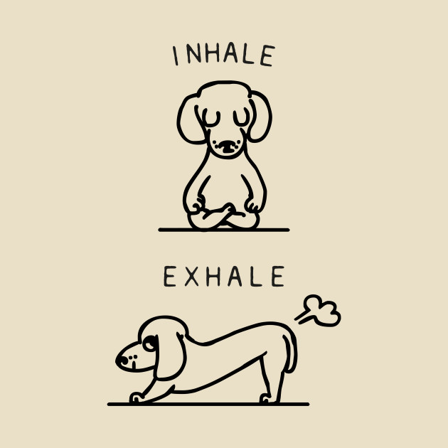 Inhale Exhale Dachshund Yoga TShirt TeePublic