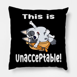 Unacceptable Pillow