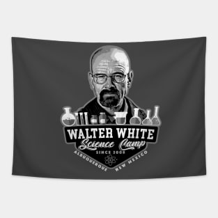 Walter White Science Camp 2008 Tapestry