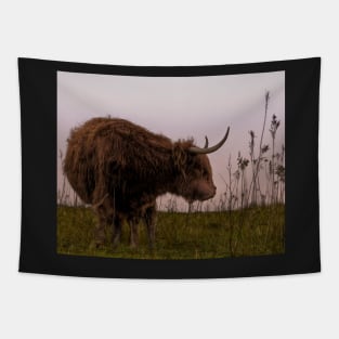 Scottish Highlander Tapestry