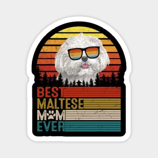 Vintage Best Maltese Mom Ever Magnet