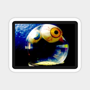 Eyeball Snowglobe Magnet