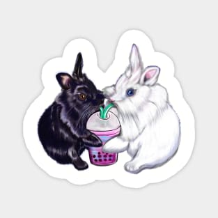 Boba bunnies - bunny rabbits sipping bubble tea - pair of cute furry ebony and snow colored coloured lionhead bunny rabbit Magnet